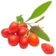 Double Red Rose - Supports Cardiovascular and Digestive Health